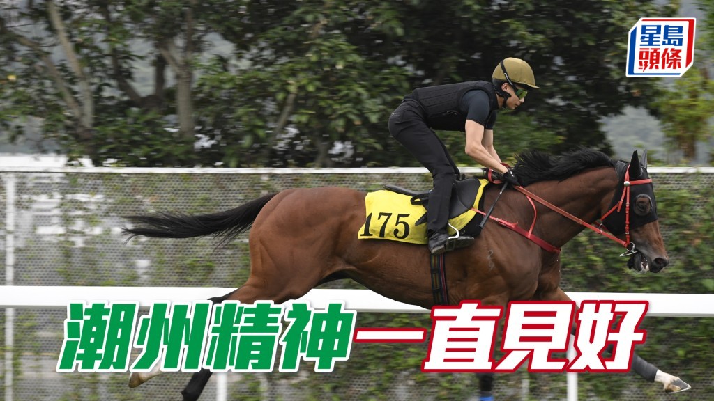 「潮州精神」出腳輕爽力度充足，馬身夠壯唔瘦。