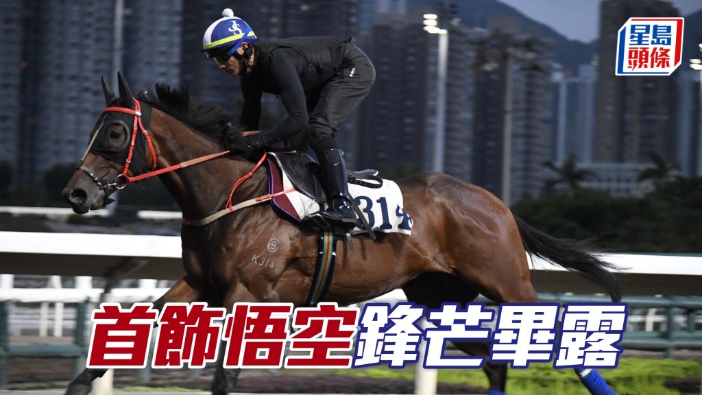 「 首饰悟空」锋芒毕露