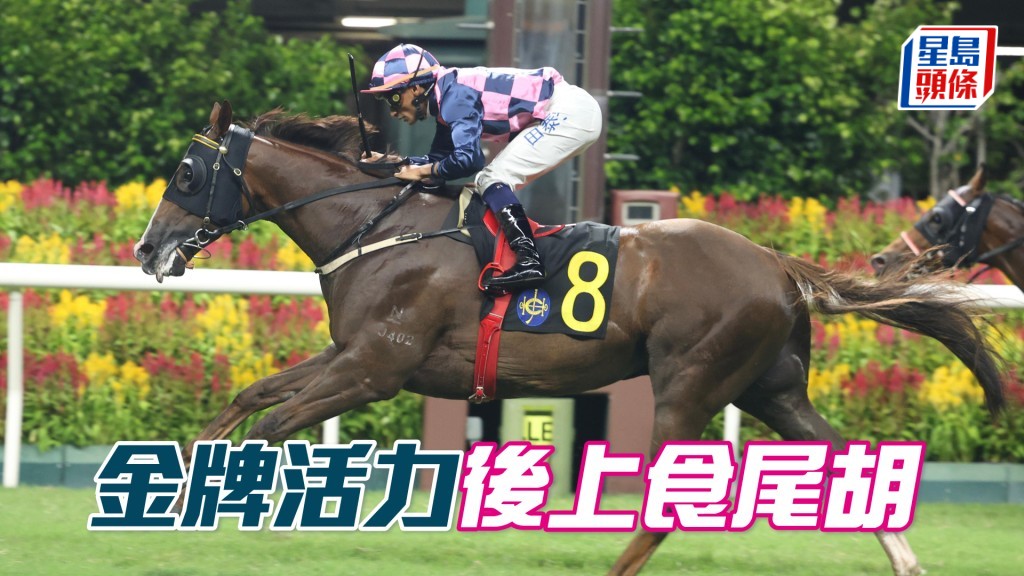 「金牌活力」後上食尾胡