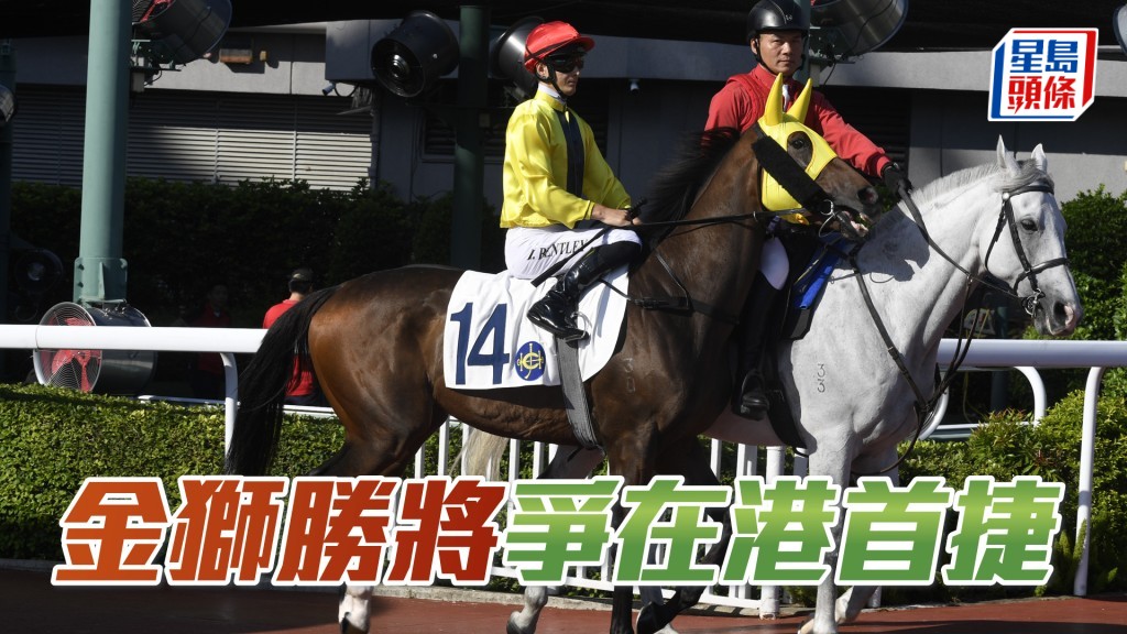 金狮胜将」争在港首捷。