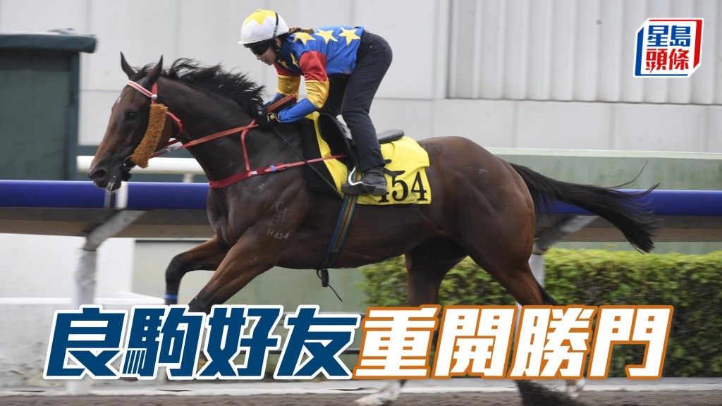 是晚早段场次不乏中距离赛，去到尾段场次，若「良驹好友」(图) 在直路走中外档追也不吃亏，或可重开胜门。