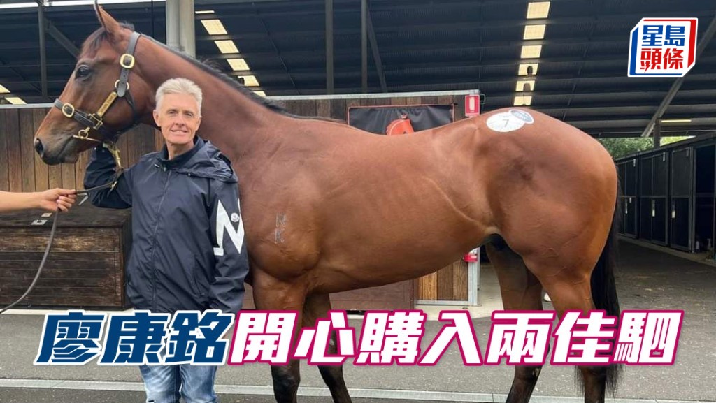 廖康銘日前在澳洲馬匹拍賣會成功揀得心頭好，補充馬房兵源。