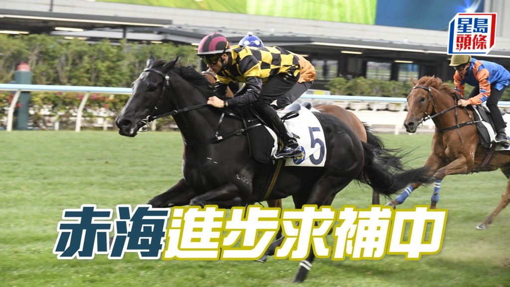 「赤海」上仗在初出已得季軍，開氣後可望更進一步。