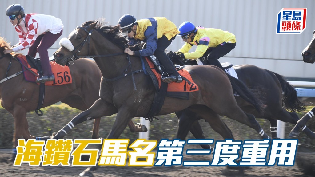 周日沙田賽事，第二場的游廄「海藍寶」(圖) 在港初出，這個馬名已是第三度舊名重用。
