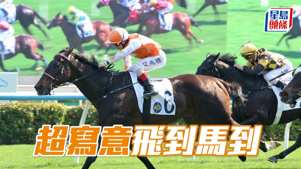 「超寫意」飛到馬到