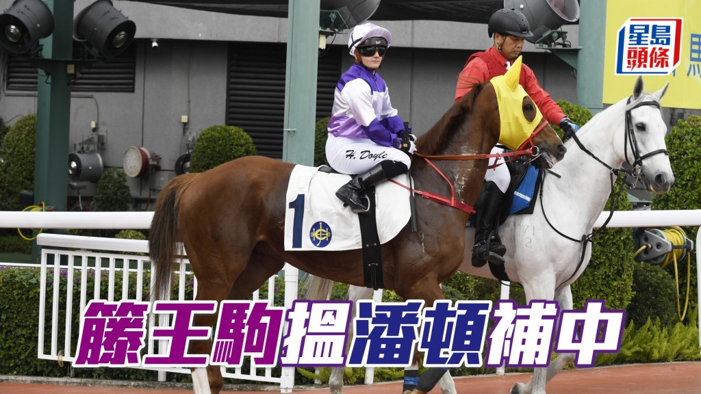 「籐王駒」上仗場地不利追仍衝入Q，今次配潘頓可補中。