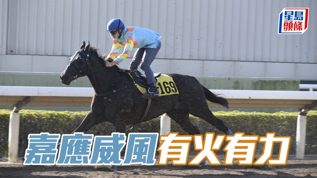 「嘉應威風」身靚神態活潑，論態出色。