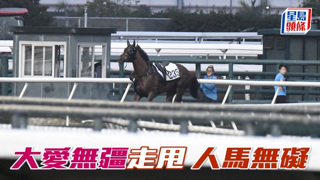 「大愛無疆」今早曾走甩 幸人馬無礙