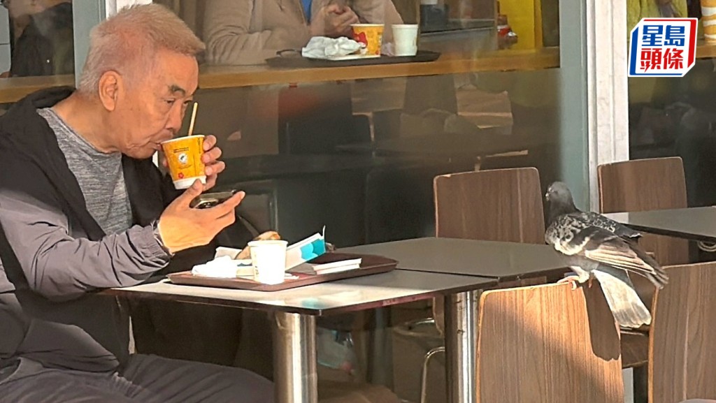 有食客進食期間，枱上白鴿「虎視眈眈」。梁國峰攝