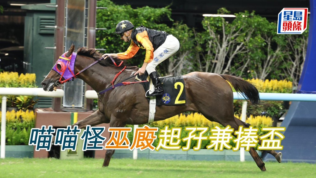 「喵喵怪」巫廄起孖兼捧盃