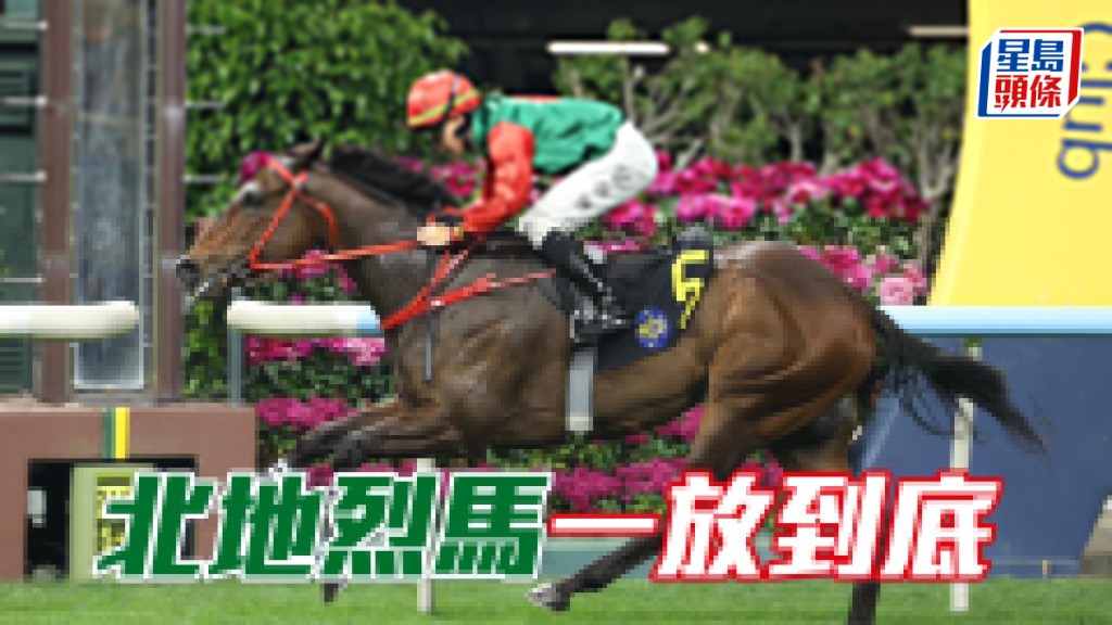 「北地烈马」一放到底