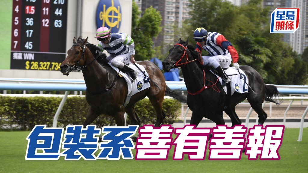 何芷韻熱心公益，出錢出力為慈善，周日「包裝」系出兩駒，且看能否為她與其丈夫李文斌帶來頭馬喜悅。