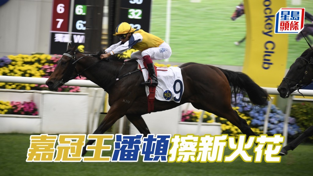 「嘉冠王」今場初配潘頓，未知會否擦出新火花。
