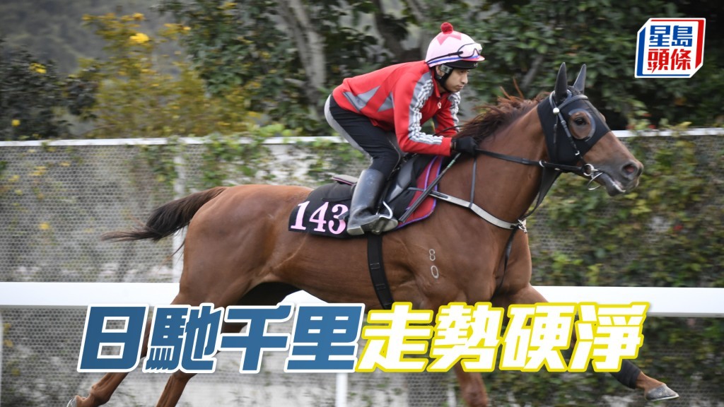 「日馳千里」神態對辦，馬身好實淨。