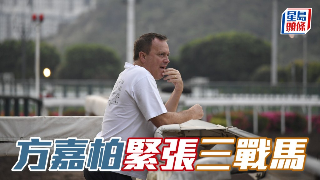 今早方厩大举练兵，仓主方嘉柏 (图) 一早已坐阵烽火台，对三匹战马最重视。