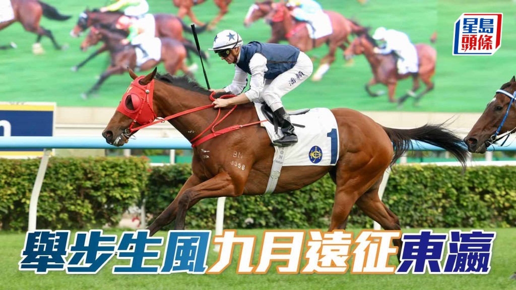 六駒計劃遠征日韓 「舉步生風」九月戰東瀛兩場級制賽