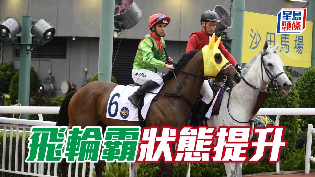 「飛輪霸」上仗在港初出即在同程跑獲亞軍。