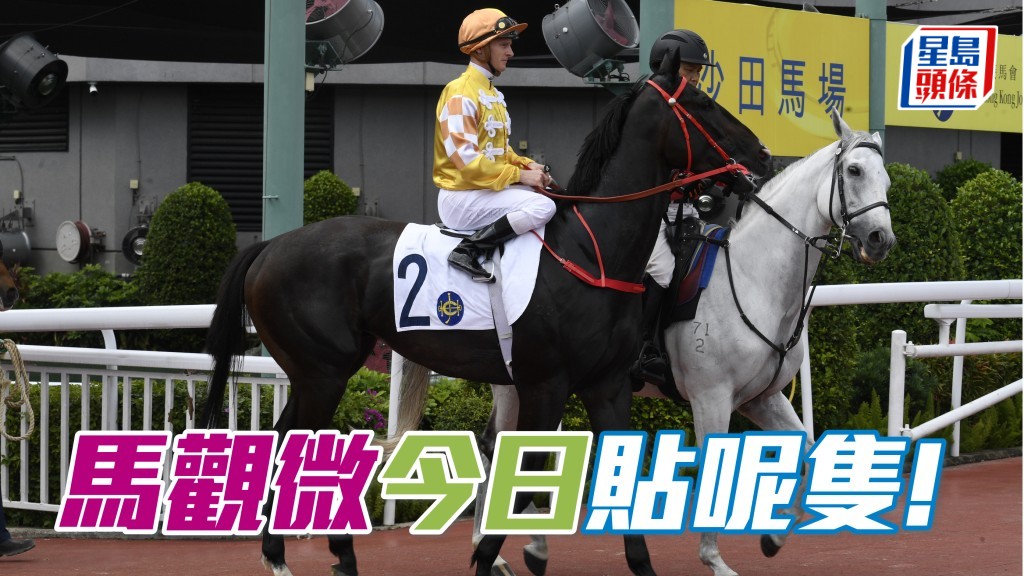 「跨境寶馬」扶番正