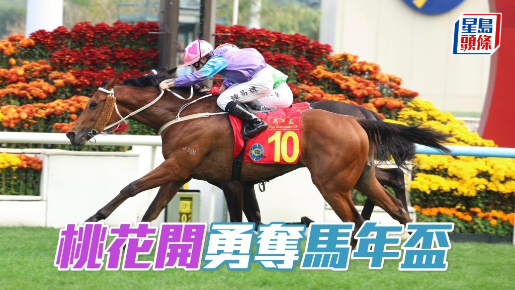 「桃花开」勇夺马年杯