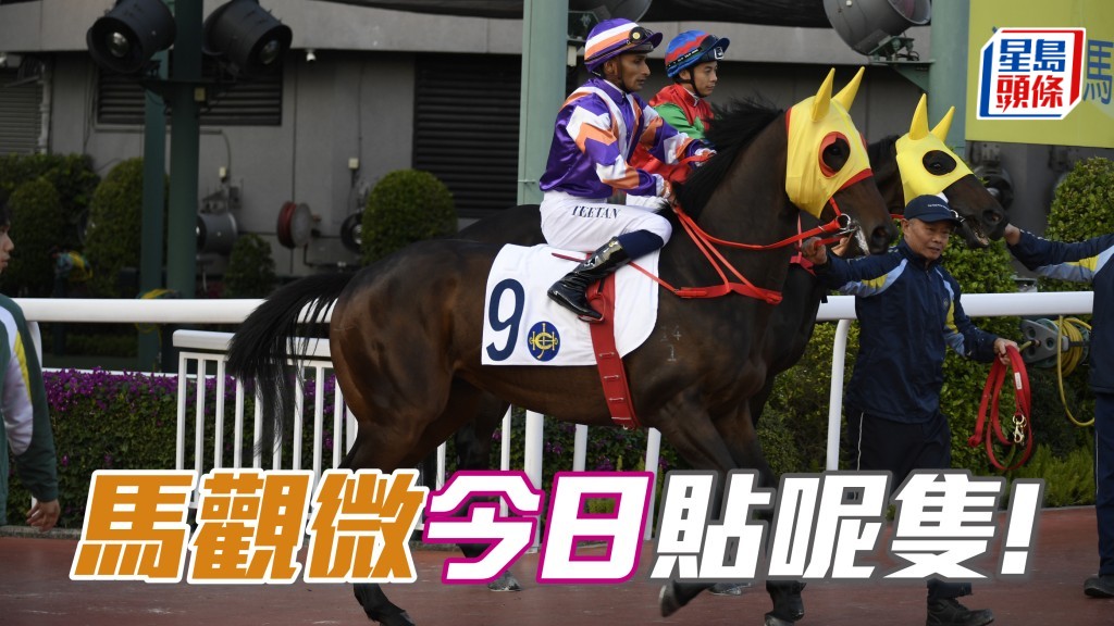 「荣骏大道」顿然康庄