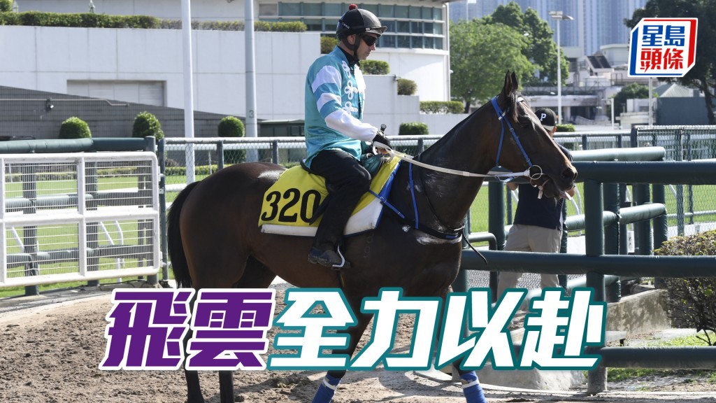 「飛雲」明晚季內初出，必定全力以赴爭取好成績。