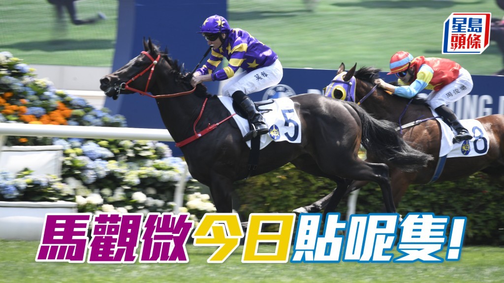 「綠野飛馳」實在厲害
