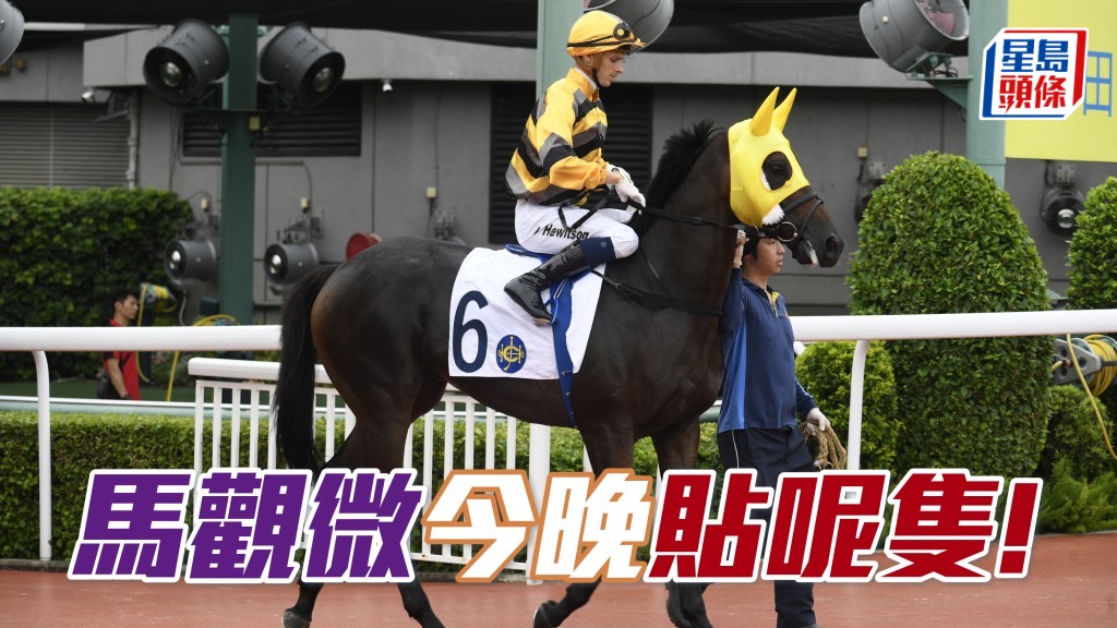 「团结战灵」路合有福