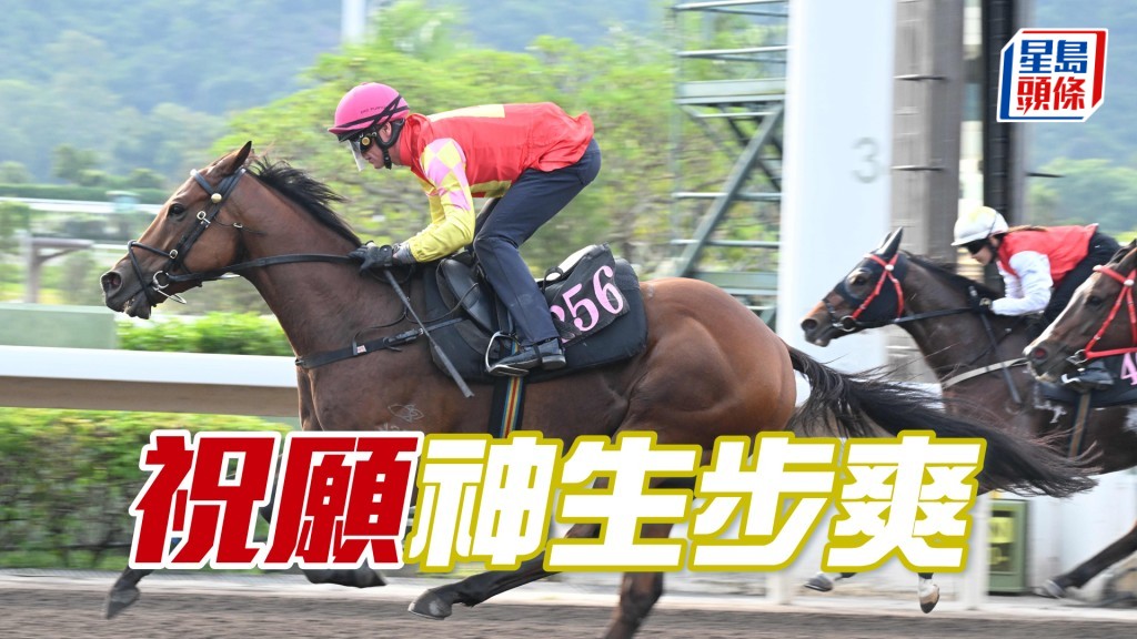 「祝願」從容不迫好似不用力氣，吸引到痹。