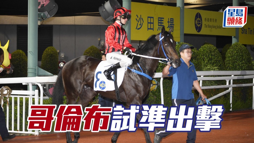 「哥倫布」拼後隨即往從化作小休及操練，埋門草地連番快跳，評分在降班邊緣仍動作多多，可爭特別獎金的牠，今仗可先跟一注。