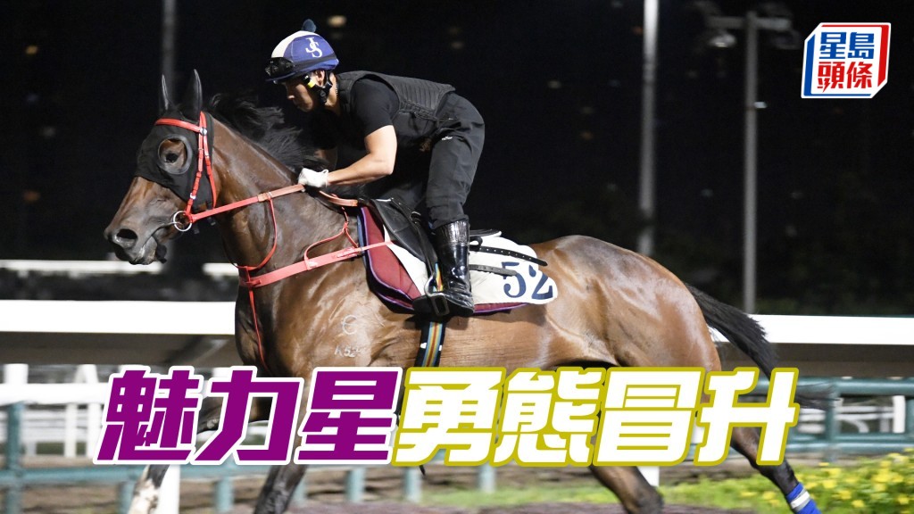 「魅力星」步挺開揚又有彈力，火氣亦唔錯。