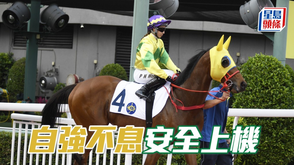 「自強不息」將會出戰九月六日在首爾馬場舉行的韓國短途錦標。