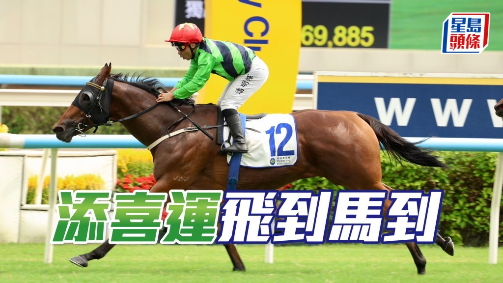 「添喜運」飛到馬到