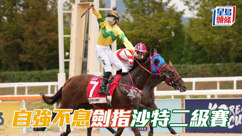 「自強不息」(圖) 初步目標是明年遠征沙特，角逐沙特盃賽日的泥地千二米G2維雅德泥地短途錦標。
