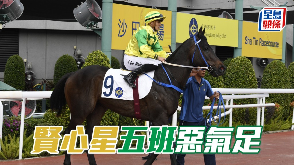 「賢心星」重返五班遇有利形勢,有力再啟勝門。