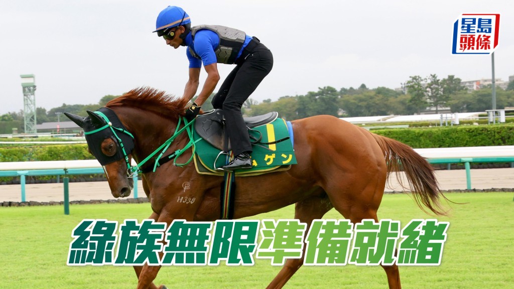 「綠族無限」準備就緒，周日將排九檔爭標。 Bit Lau攝