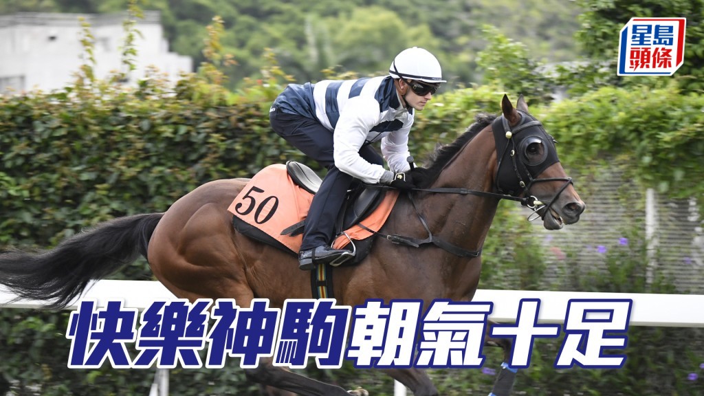 「快乐神驹」神生步爽充满朝气，状态不断冒升。