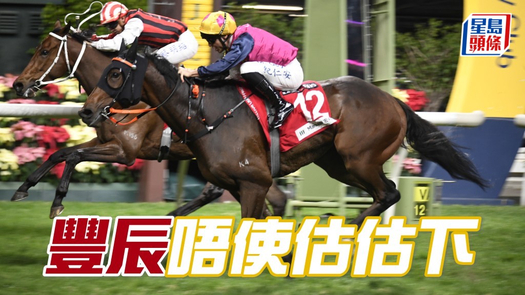 卡爾心水│「豐辰」唔使估估下