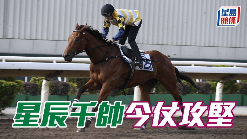 「星辰千帥」今戰有運排三檔上陣，相信幕後應好好把握機會在今仗攻堅。