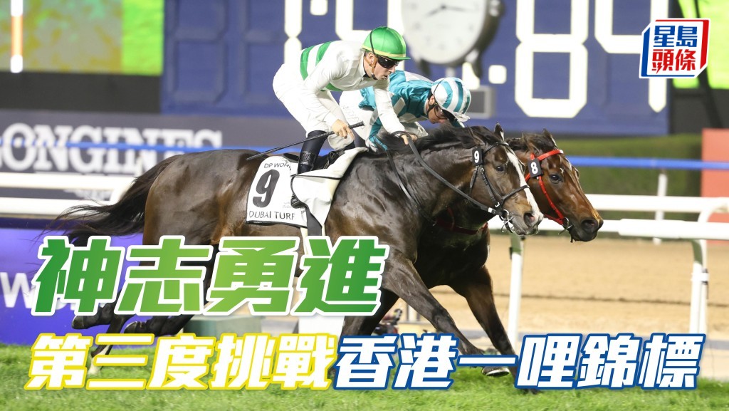 「神志勇進」(圖) 第三度出戰香港一哩錦標，再次挑戰「遨遊氣泡」，且看能否反先對手。
