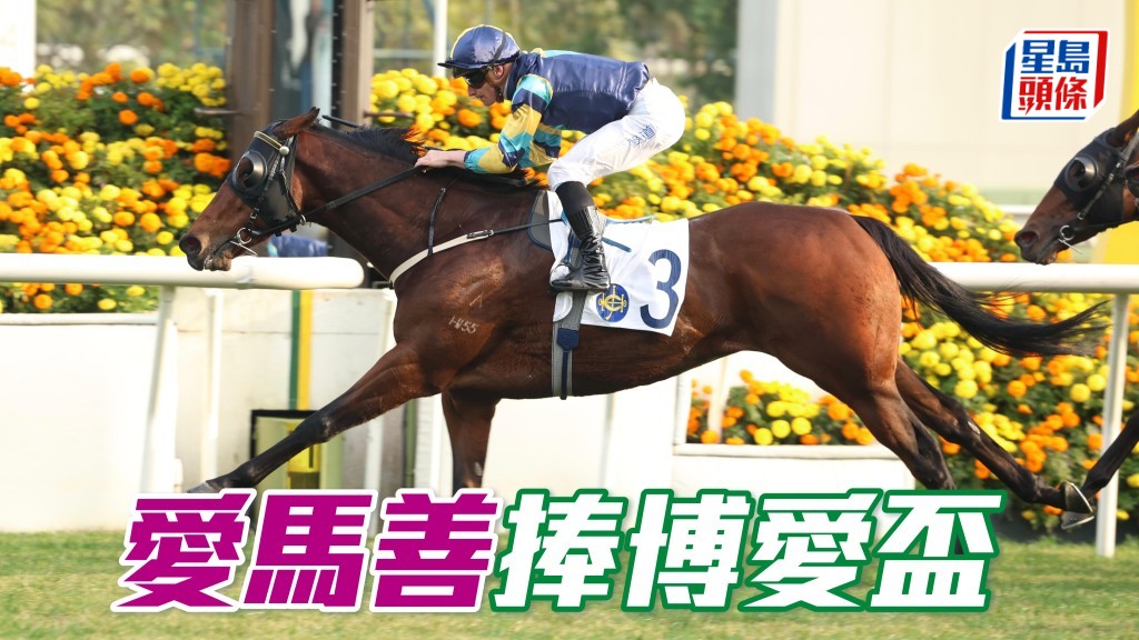 「愛馬善」捧博愛盃