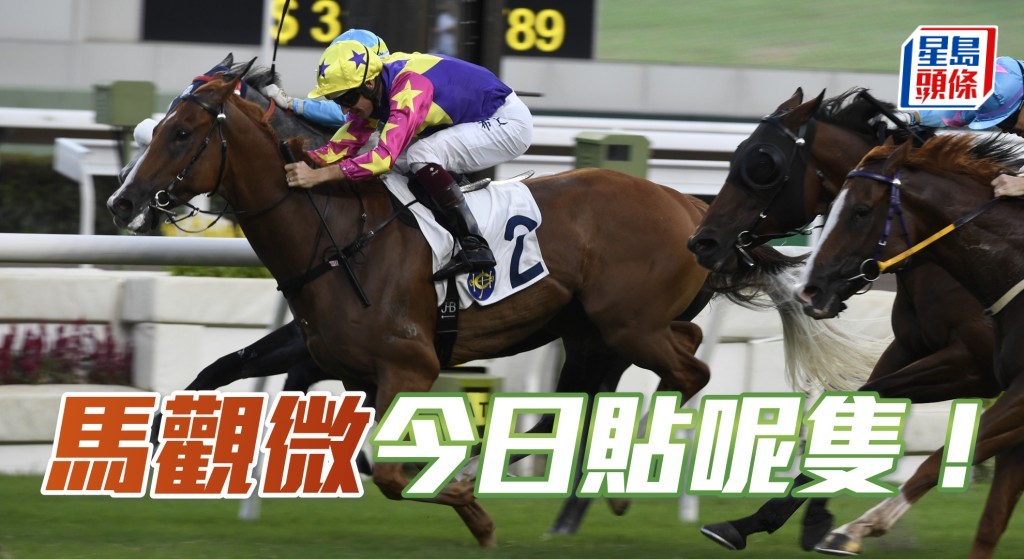 「巴閉哥」上兩仗都能在劣勢下殺入Q腳,今仗列陣第八場二班田草千四米,可望在巴度胯下收復失地。