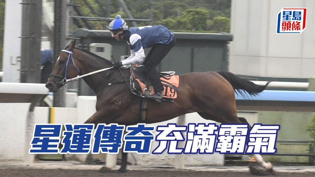 「星运传奇」竖起双耳目光锐利，唞够后操足回勇。