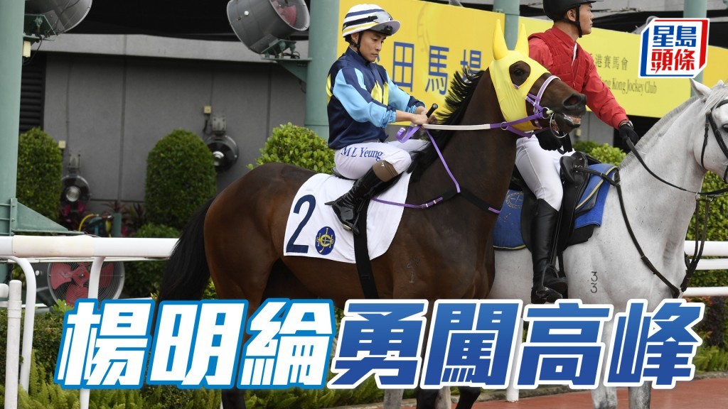 「勇闖高峰」馬主黃俊傑的父親黃少華本周末生日，此駒將在楊明綸胯下全力盡拼。