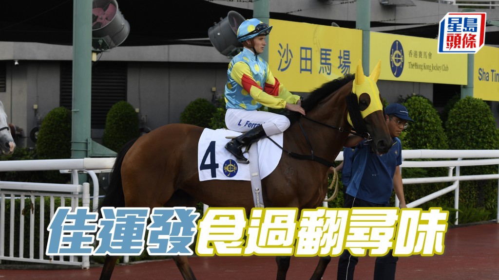 「佳運發」前仗回降四班即重拾戰鬥力,現較季初勝時更低分,趁季尾必搏盡。