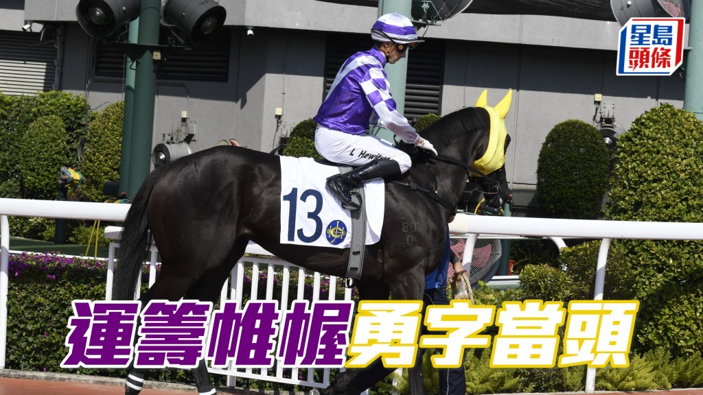 「運籌帷幄」經驗與狀態都勝於今仗對手，開齋有望。