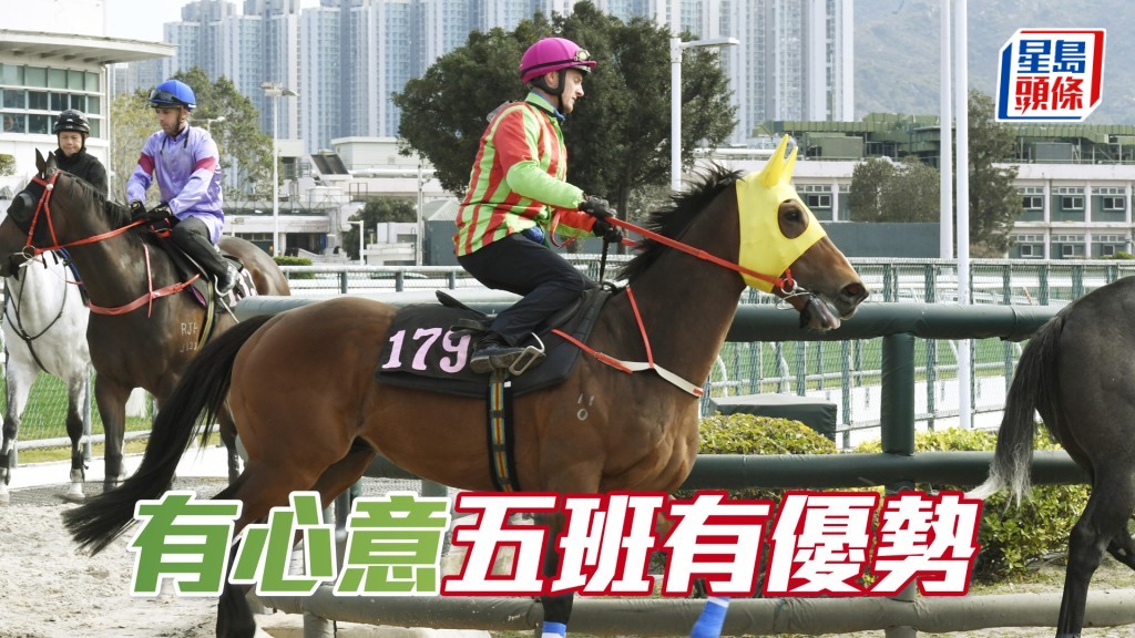 「有心意」近期試泥閘拍住「魅力寶駒」過終點，泥地能力應不遜草地。