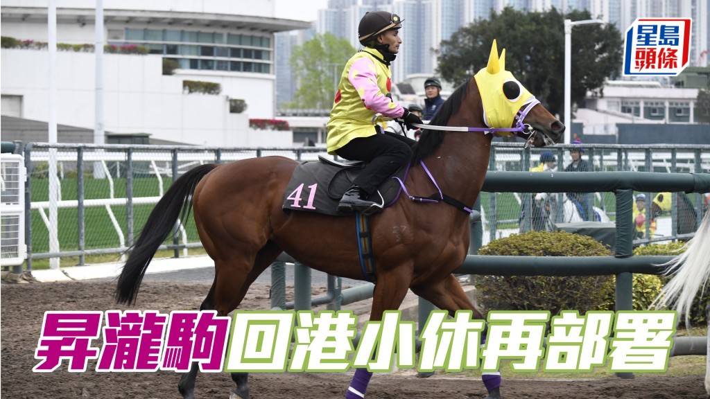 馬場浮世繪｜「昇瀧駒」回港小休再部署