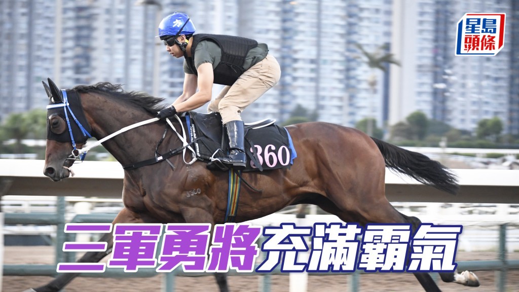 「三軍勇將」雙耳烔烔目光銳利，勇況有增無減。