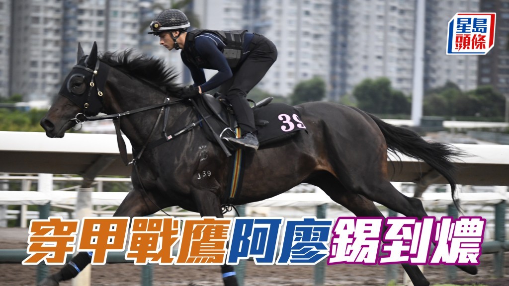 「穿甲戰鷹」今朝六點十分到內圈出試,廖康銘特意走去會員席居高臨下睇馬,之後更匆匆走去機坪接馬並跟埋返倉,緊張到不得了。(資料圖片)