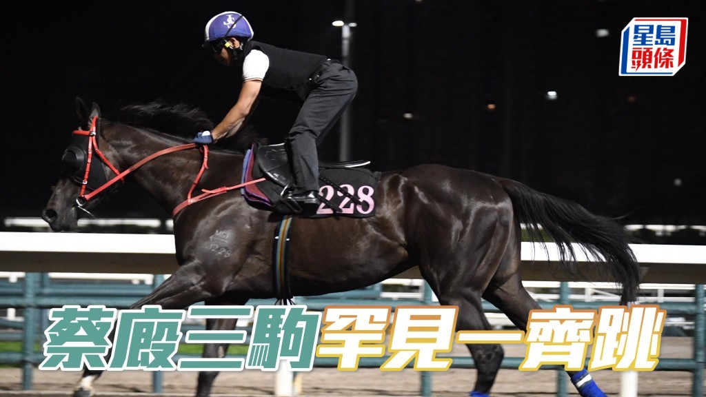 昨朝五點十五分蔡約翰只停留了一分鐘就走人，皆因是「精算激流」(圖)、「一世美麗」及「大利好運」罕見地同時間出跳，備戰特別。